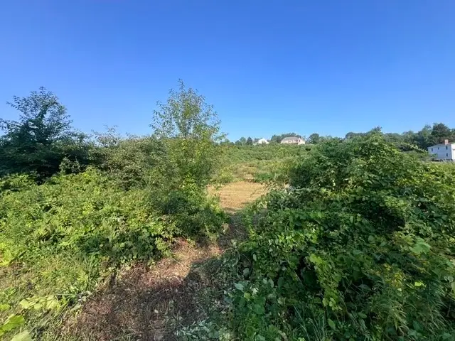 0 Haydenville Rd (ws), Whately, MA 01093 - #2