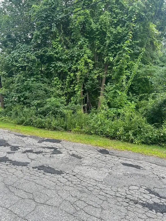 56 Birch Hill Rd, Douglas, MA 01516 - #3