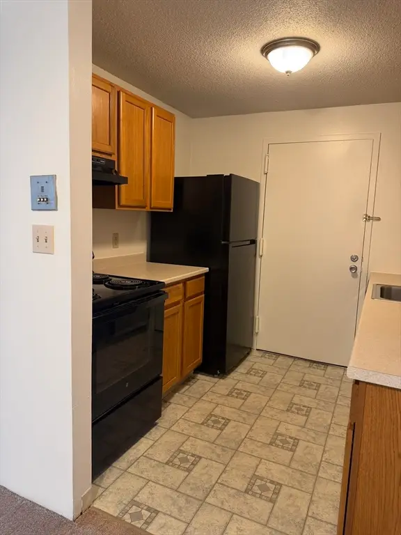 17 Village Rock Lane #19, Natick, MA 01760 - #2