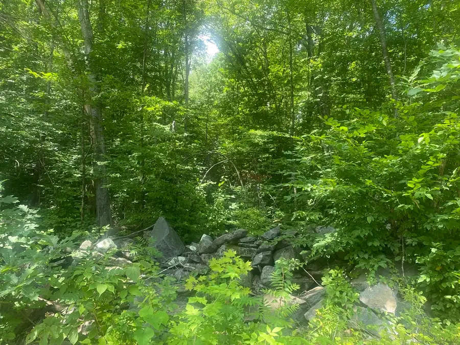 Tract 7 Delargy Rd, Hardwick, MA 01037 - #2