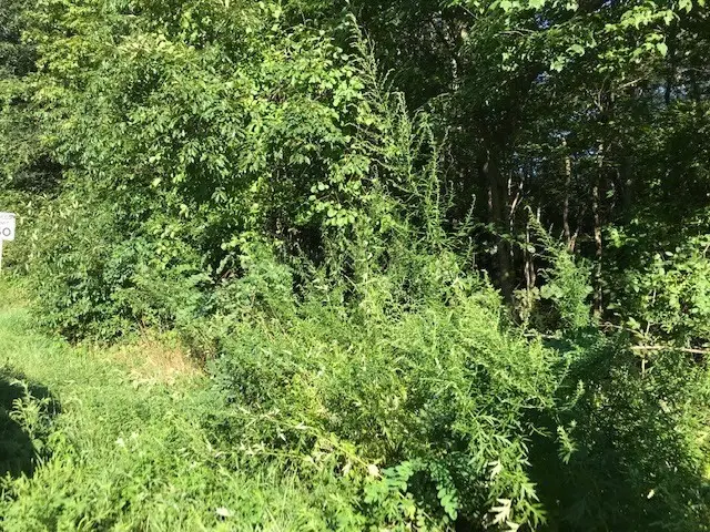 145 Winthrop St, Rehoboth, MA 02769 - #1