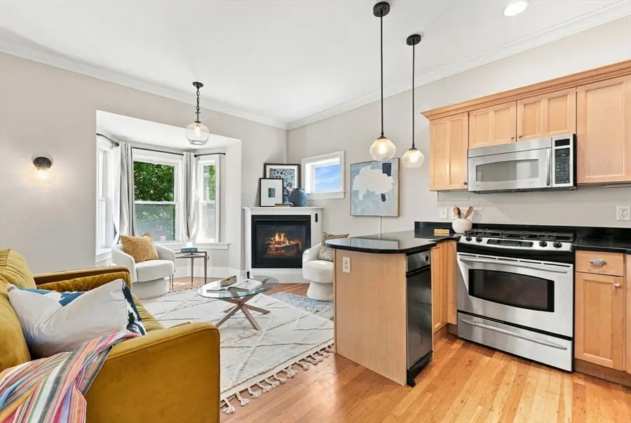 77 Old Harbor St #3, Boston, MA 02127 - #3