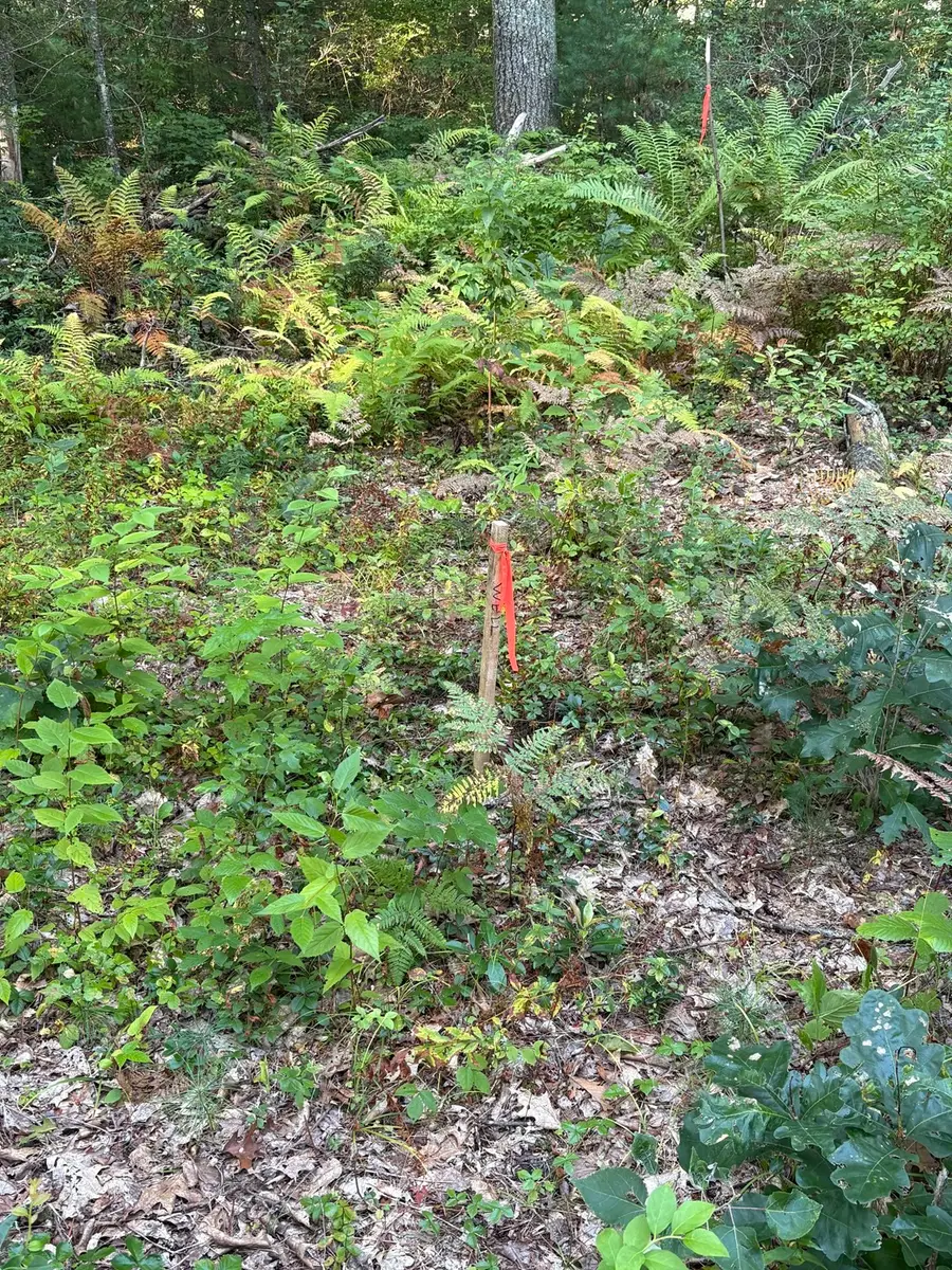 Lot 3 I Capen Rd, Spencer, MA 01562 - #3
