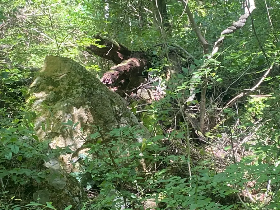 Lot 23 South Rd, Hampden, MA 01036 - #3