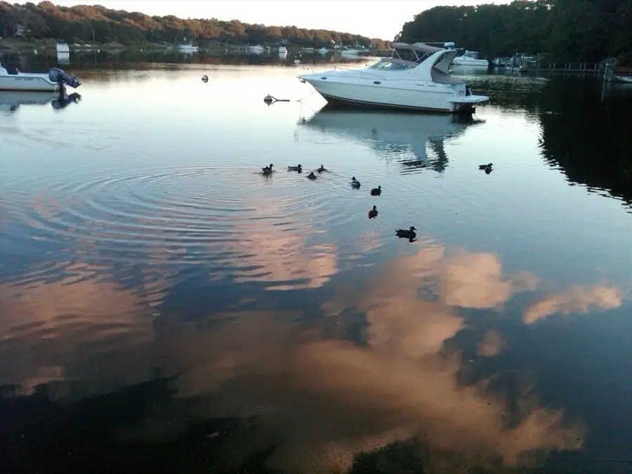 66 Woodland Trail, Falmouth, MA 02536 - #3