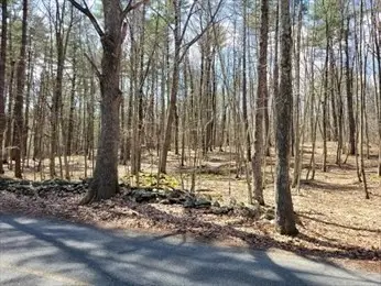 Lot 2 Daniels Road, Charlton, MA 01507 - #3