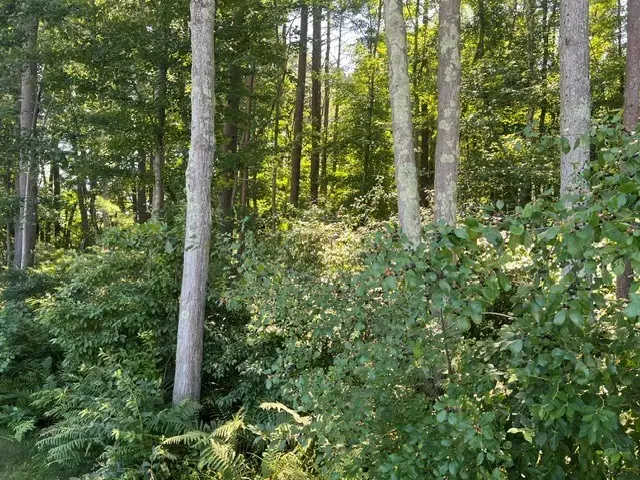 0 Fairview Avenue, Athol, MA 01331 - #1