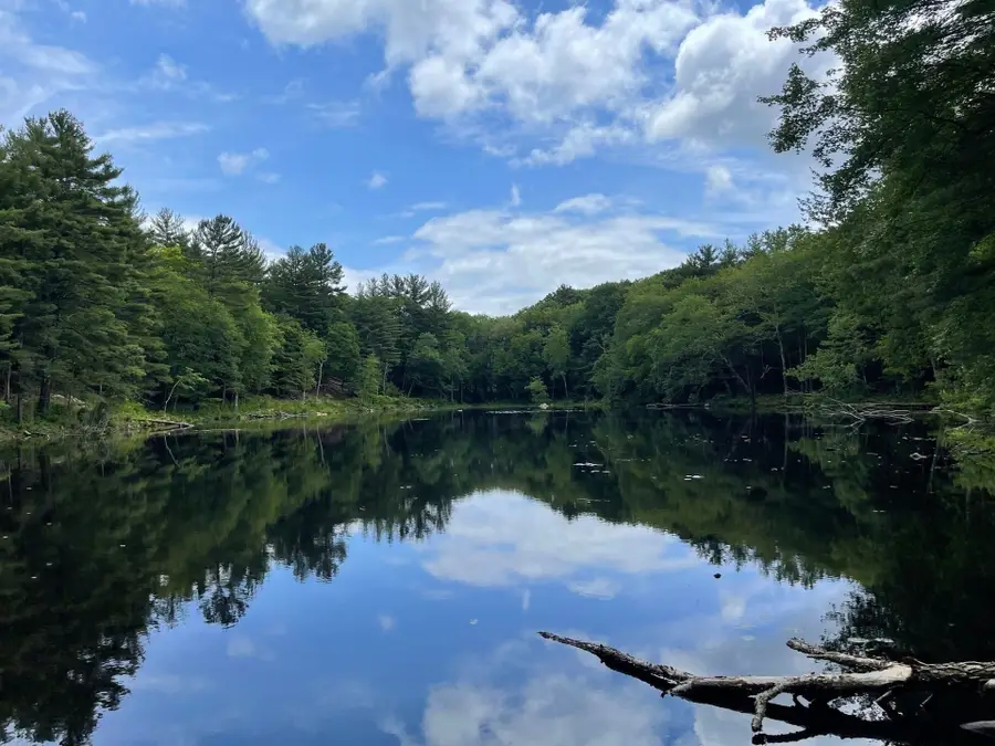 38 Wilsondale St, Dover, MA 02030 - #3