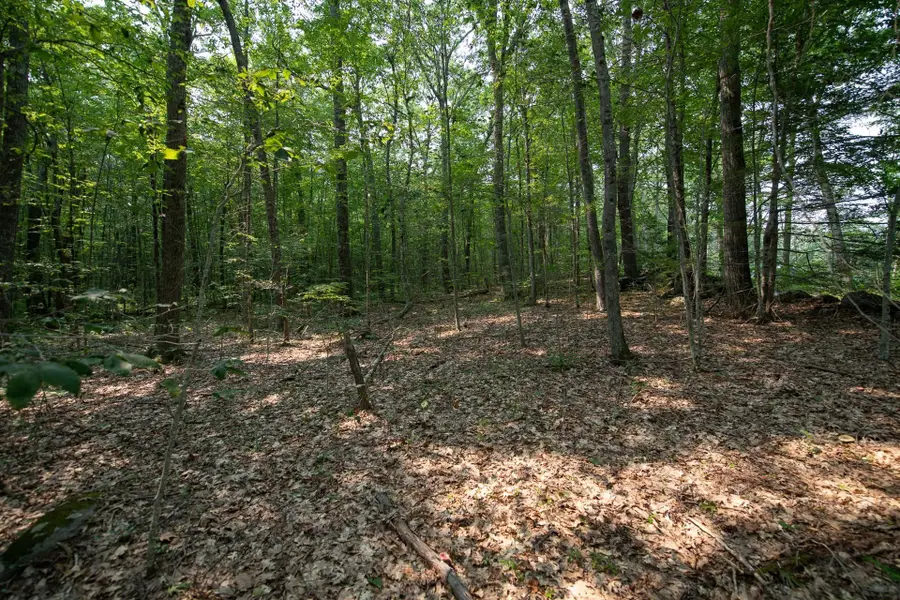 0 Shaw Road, Petersham, MA 01366 - #3