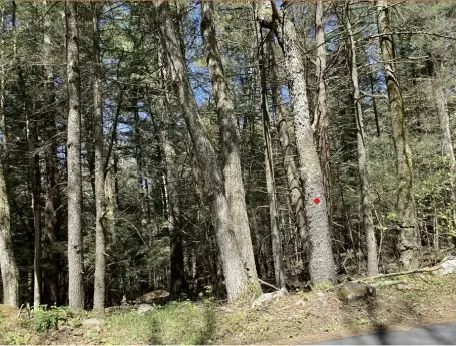 0 Burt Hill Rd Parcel 16, Tolland, MA 01034 - #2