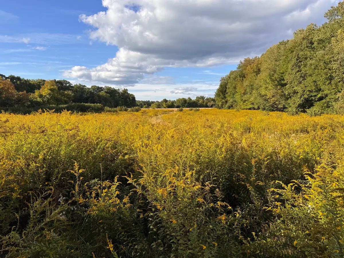 30V-Lot 1 Red Bridge Rd, Wilbraham, MA 01095 - #1