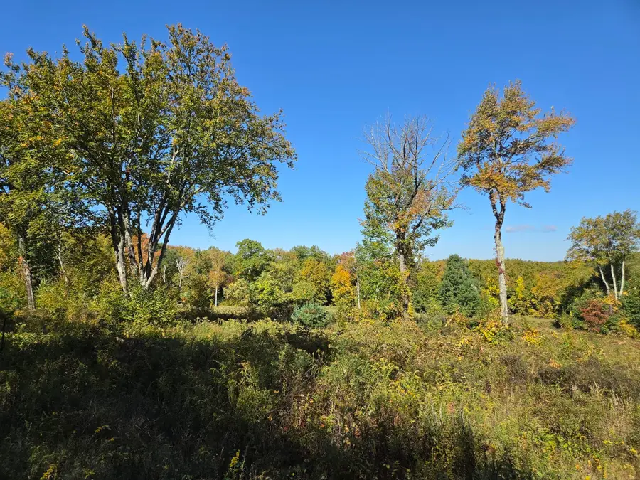 Lot 5A South Rd, Hampden, MA 01036 - #2