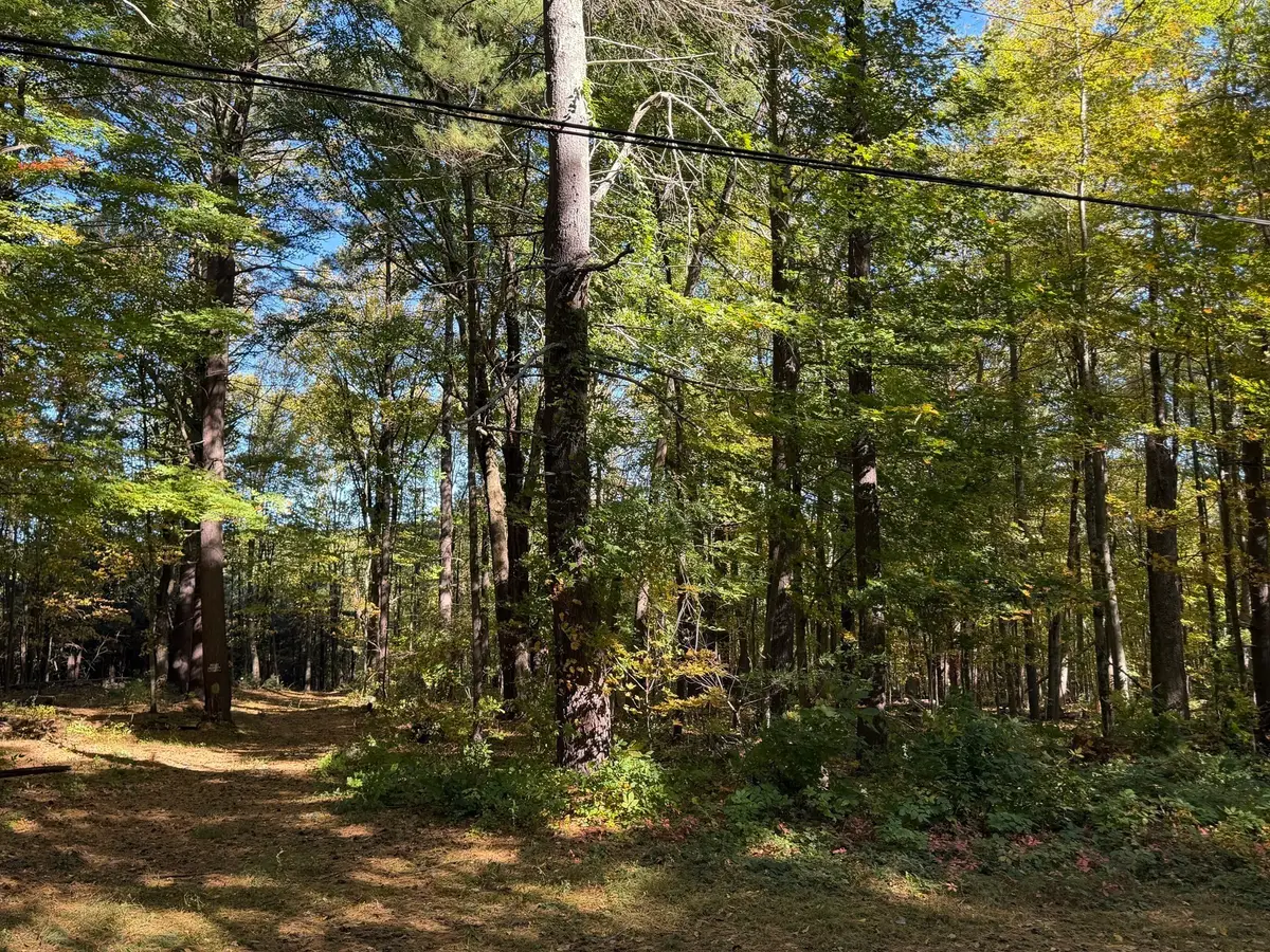 15 Carrier Lane, Sutton, MA 01590 - #1