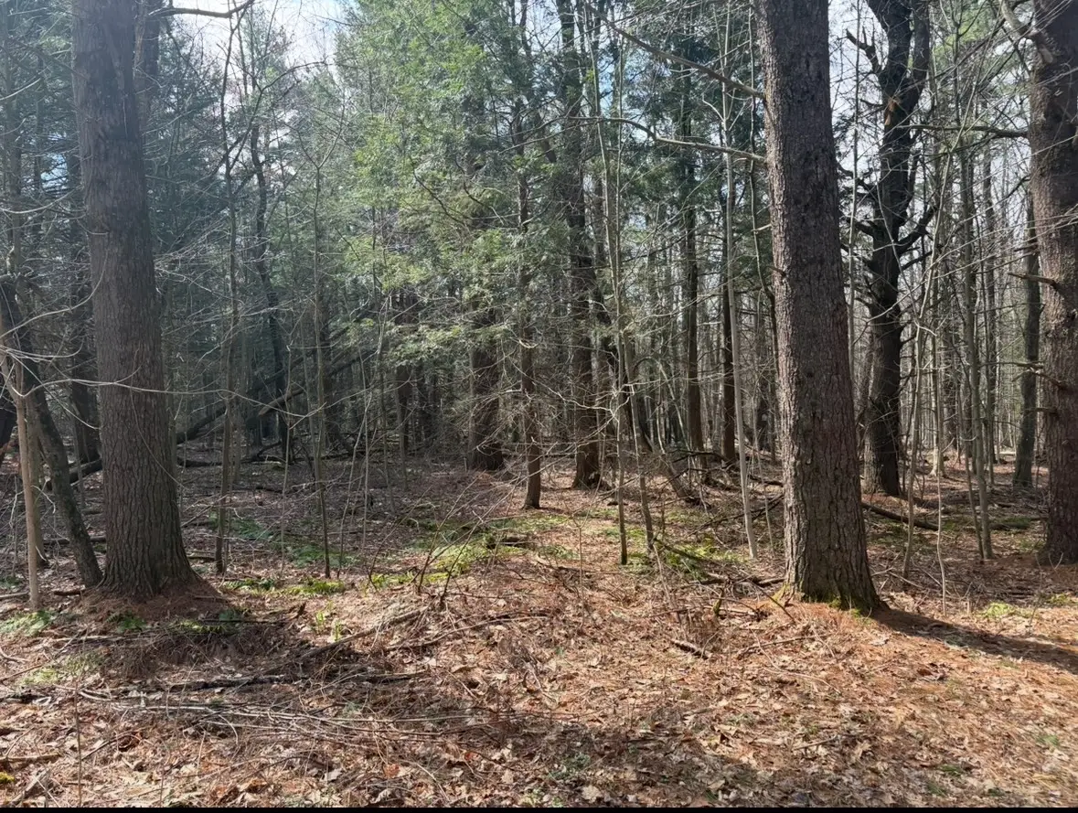 0 Island Acres, Blandford, MA 01008 - #1