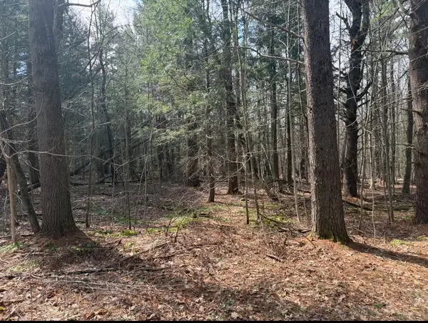 0 Island Acres, Blandford, MA 01008