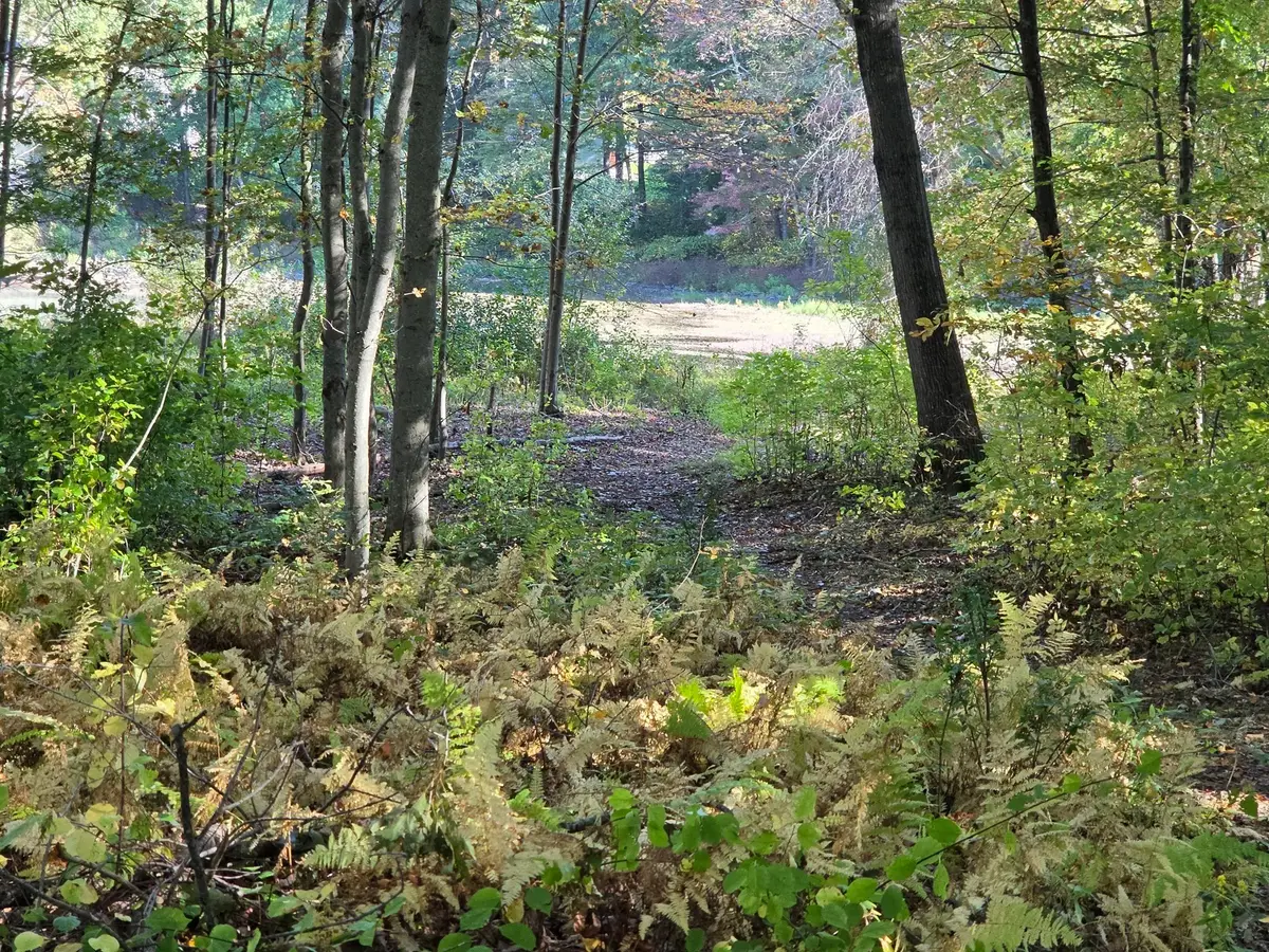 0 Sunny, Webster, MA 01570 - #1