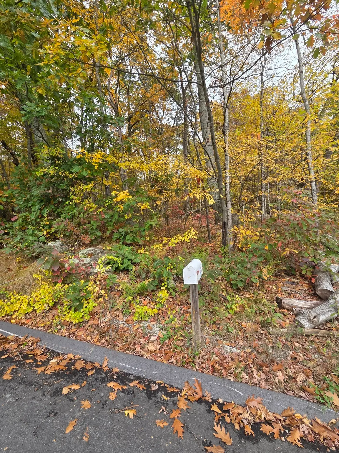 13 Kimball St, Brookfield, MA 01506 - #1