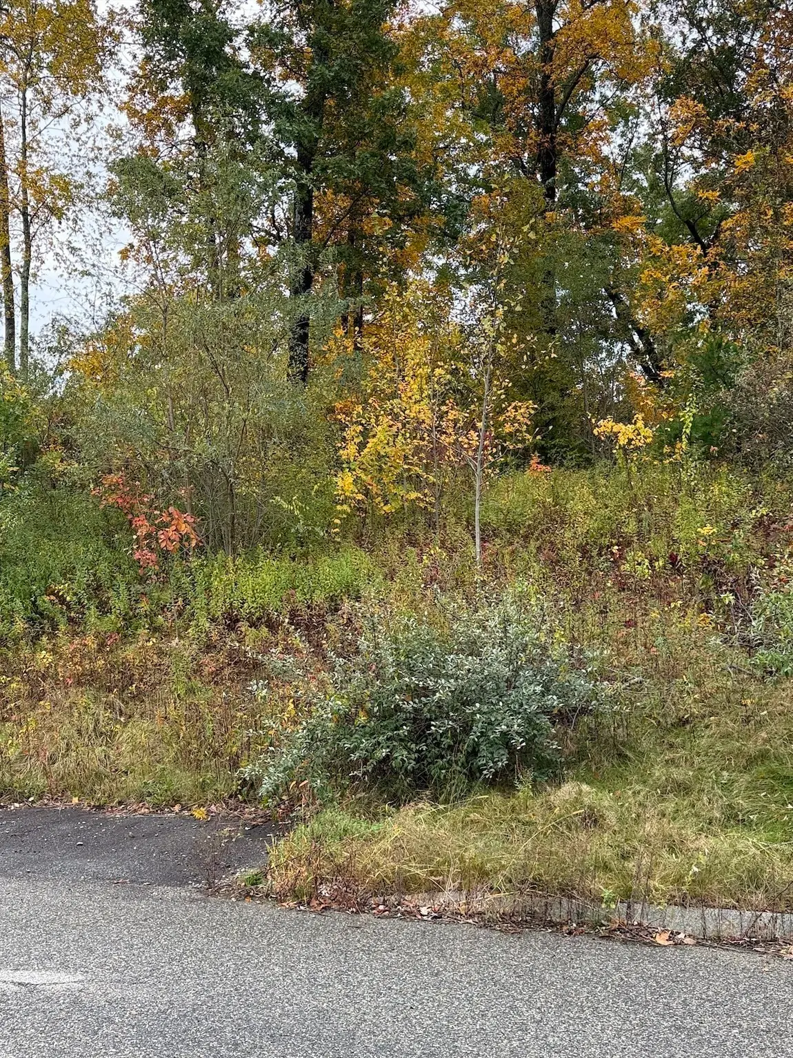 88 Seven Sisters Road, Haverhill, MA 01830 - #1