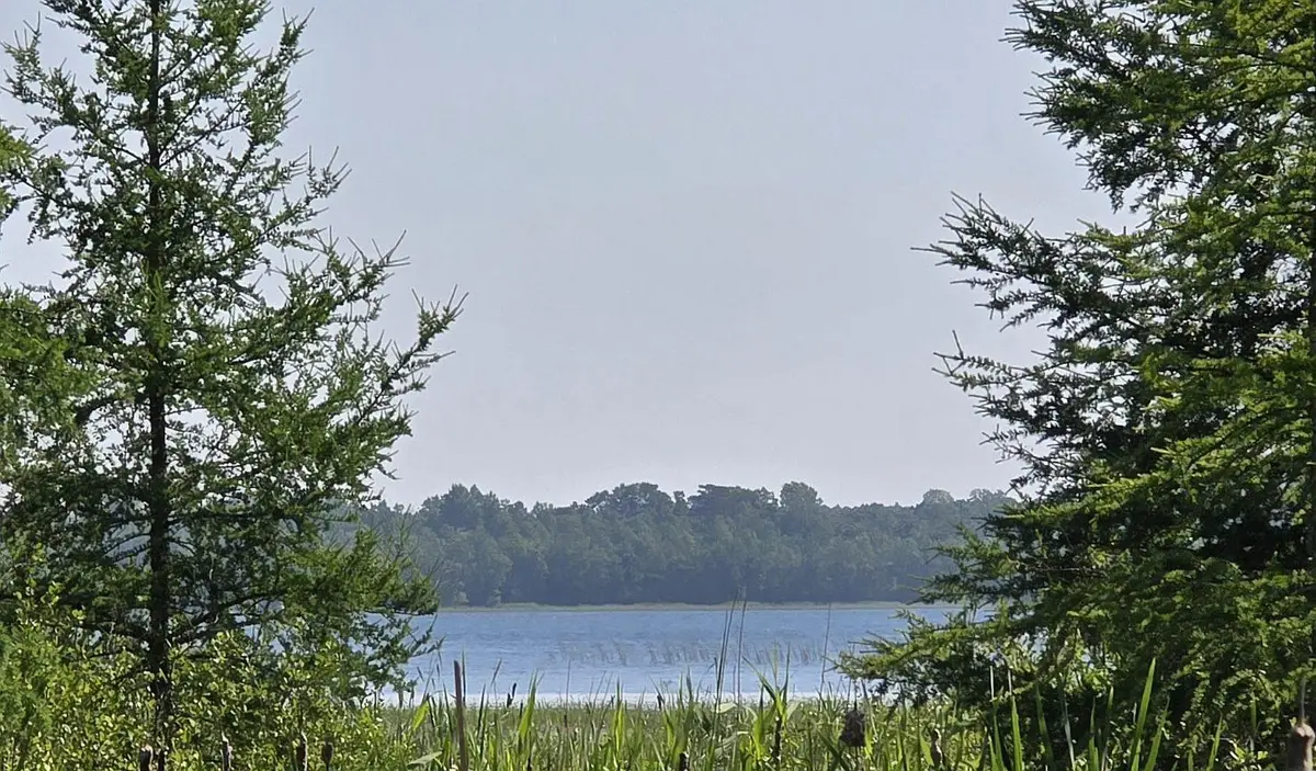 5136 Basswood Lane Ne, Bemidji, MN 56601 - #1