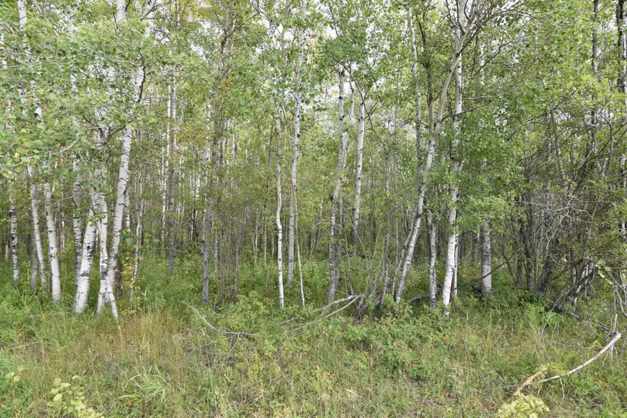 8324 60th Street Nw, Williams, MN 56686 - #3