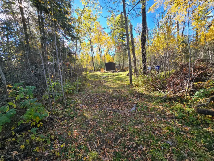 Tract 8 Brush Island, Angle Inlet, MN 56711 - #2