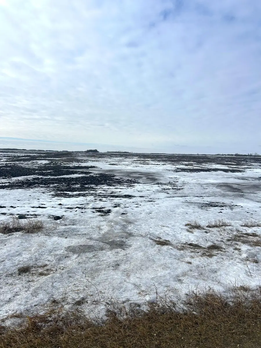 TBD 210th Avenue, Greenbush, MN 56726 - #2