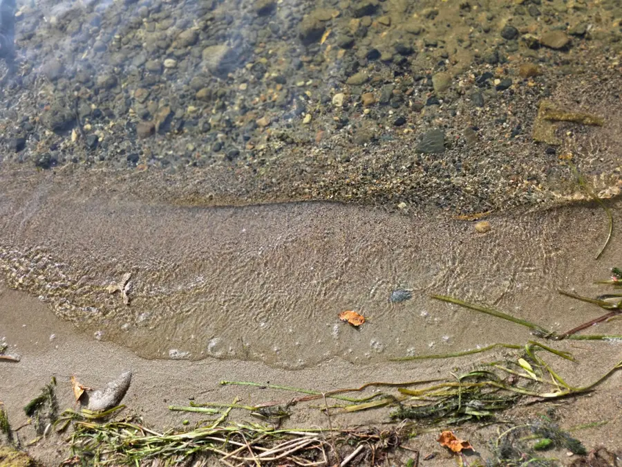 TBD Andrusia Road Se, Cass Lake, MN 56633 - #3