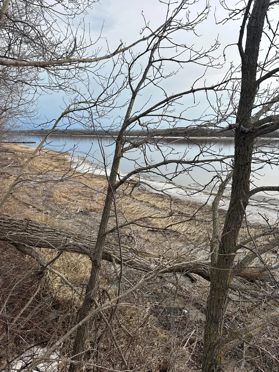 TBD Maple Drive Nw, Baudette, MN 56623 - #2