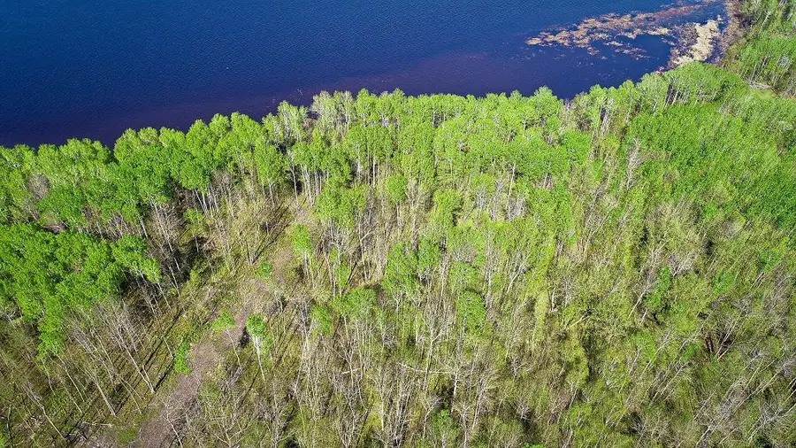 Lot 11 - TBD Driftwood Lane Nw, Baudette, MN 56623 - #2