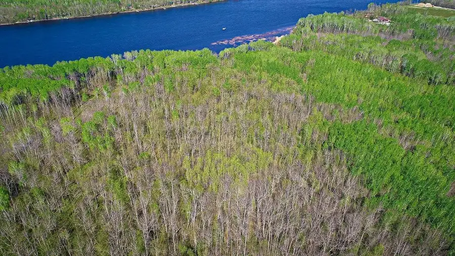 Lot 11 - TBD Driftwood Lane Nw, Baudette, MN 56623 - #3