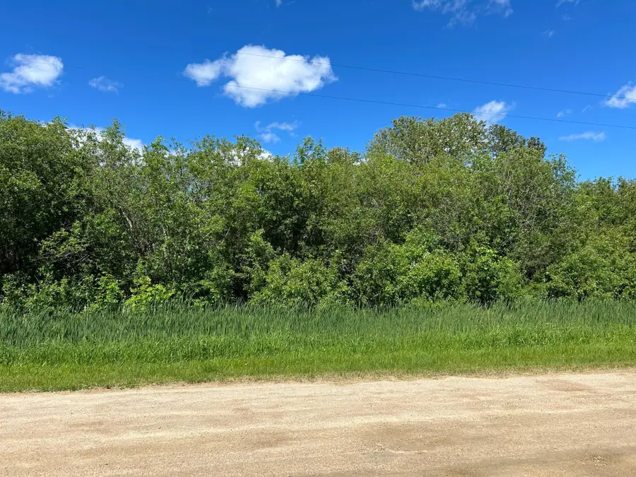 XXX Graceton Beach Road Nw, Williams, MN 56686 - #2