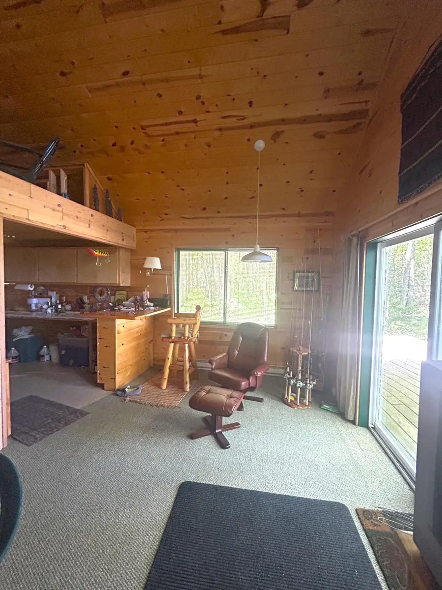 16779 Angle Shoreline, Angle Inlet, MN 56711 - #2