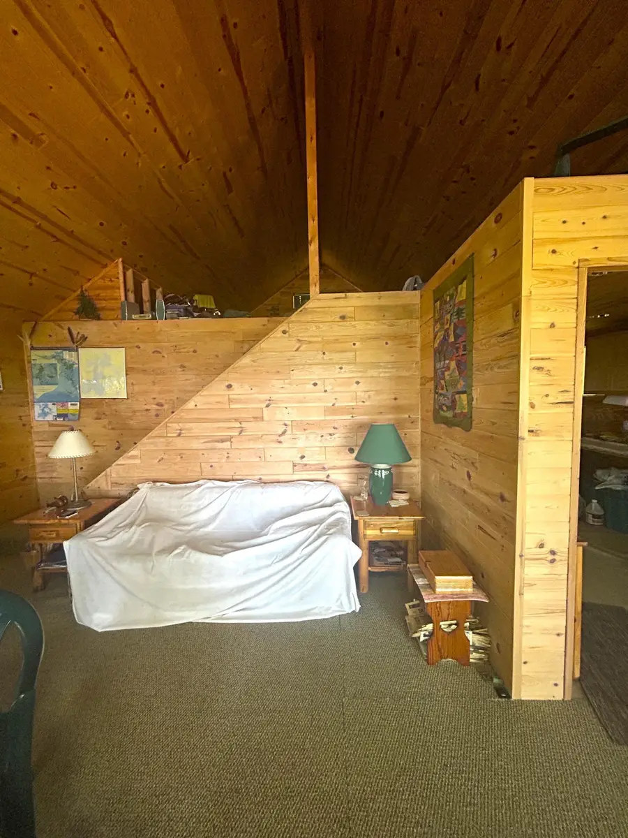 16779 Angle Shoreline, Angle Inlet, MN 56711 - #3