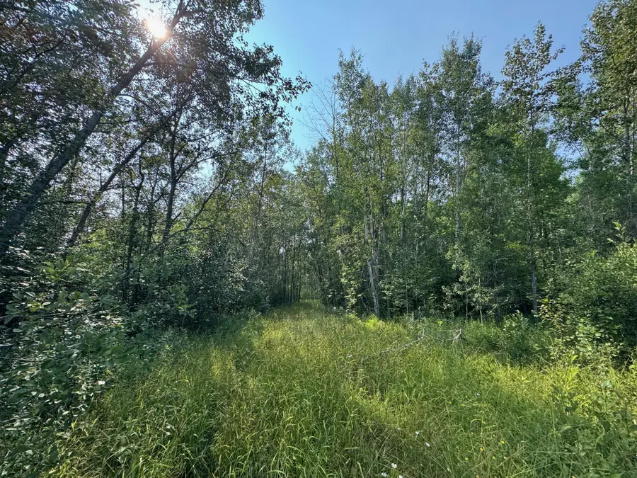 80+ acres Willow Creek Road Ne, Kelliher, MN 56650 - #3