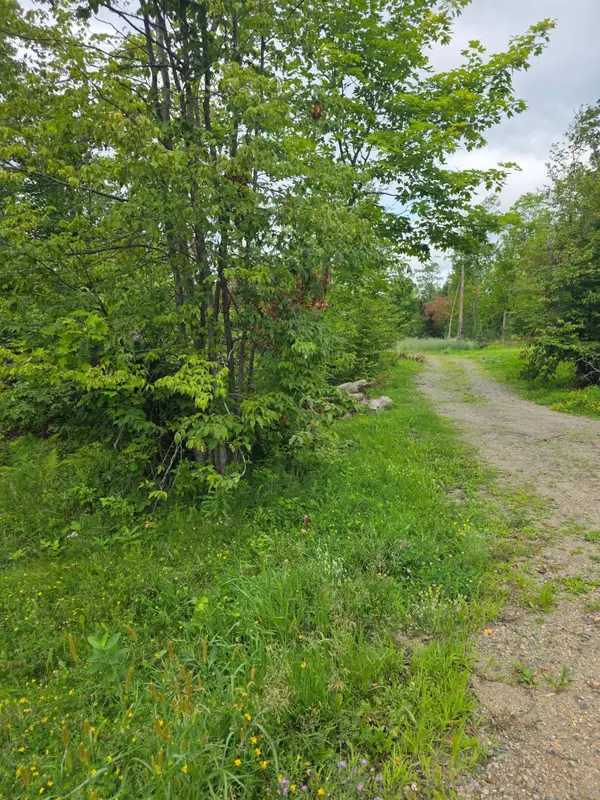 14635 Anjonabe Court Se, Bemidji, MN 56601