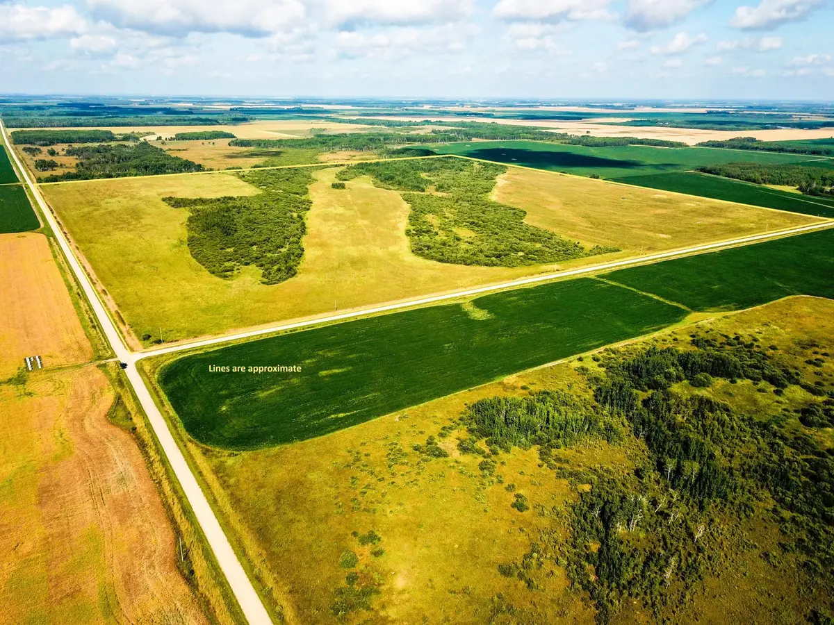 TBD 220th Avenue, Badger, MN 56714 - #1