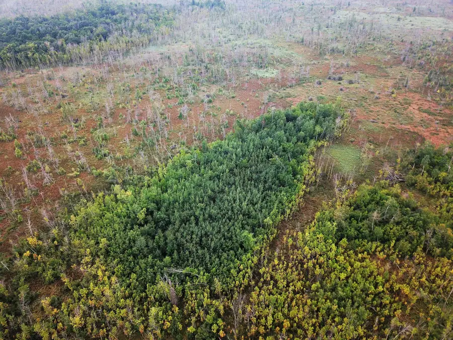 TBD 340th Street, New York Mills, MN 56567 - #3