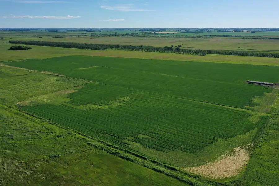 TBD Co 26, Rothsay, MN 56579 - #3