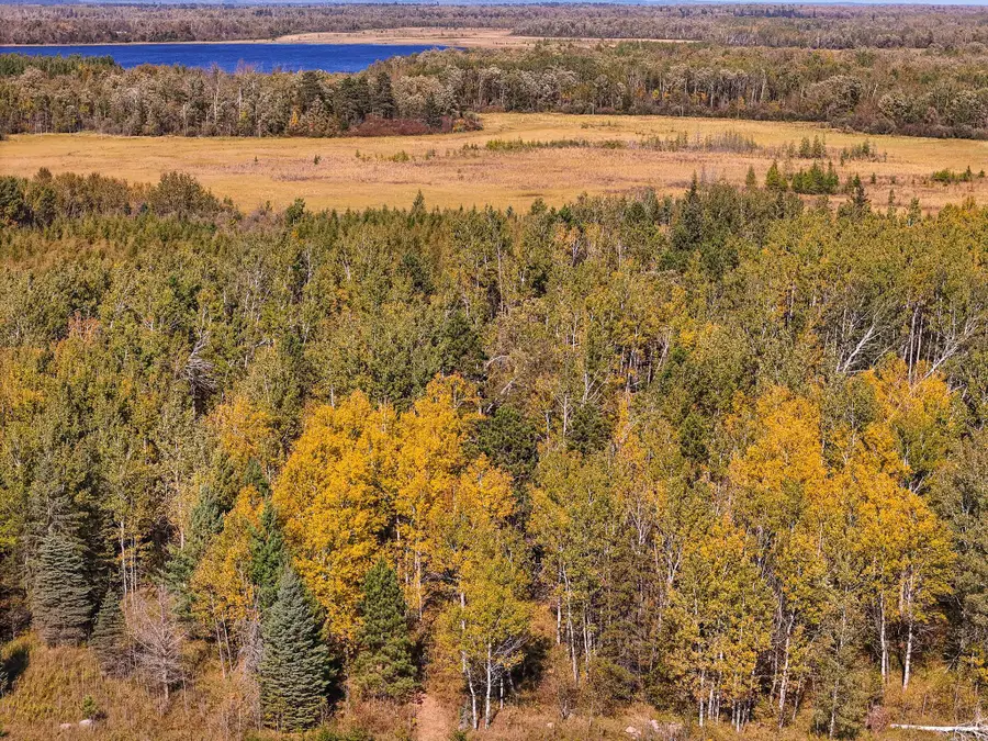 Parcel #3 TBD County 9, Becida, MN 56678 - #2