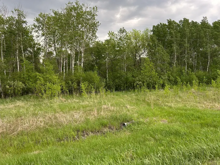 TBD 160th Street Ne, Thief River Falls, MN 56701 - #3