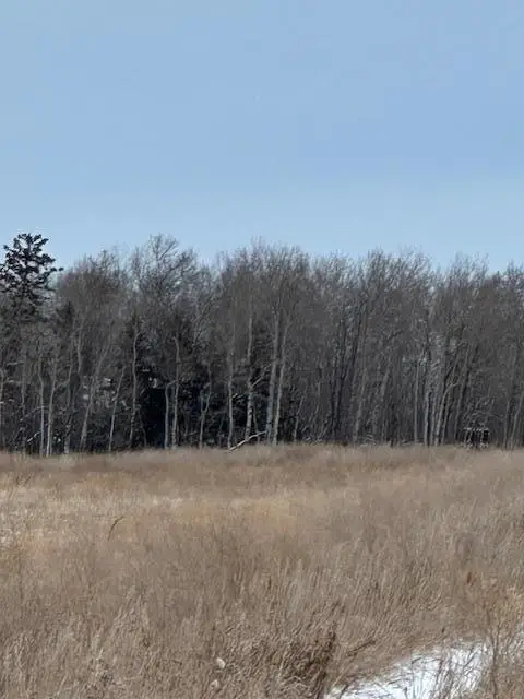 00000 County Road 6, Karlstad, MN 56732 - Image #2