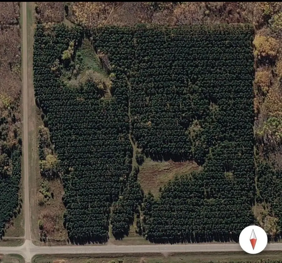 11809 Cr-9, Solway, MN 56678 - #3