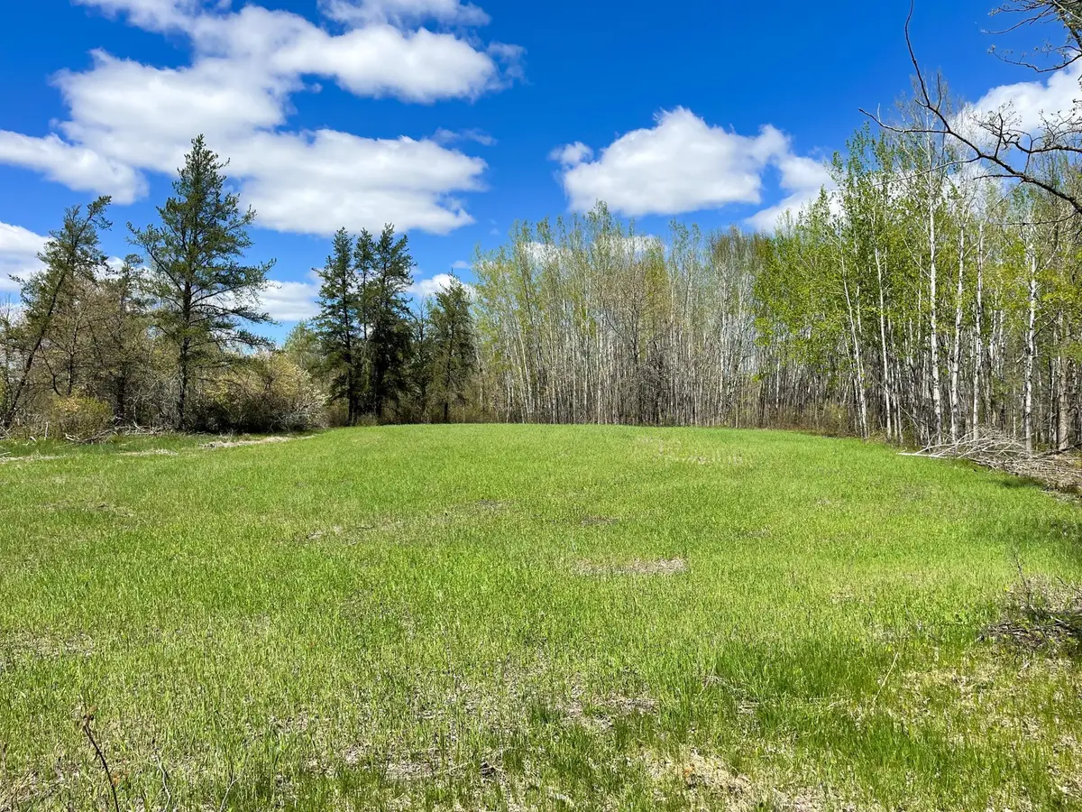 TBD 15th Street Nw, Bemidji, MN 56601 - #1