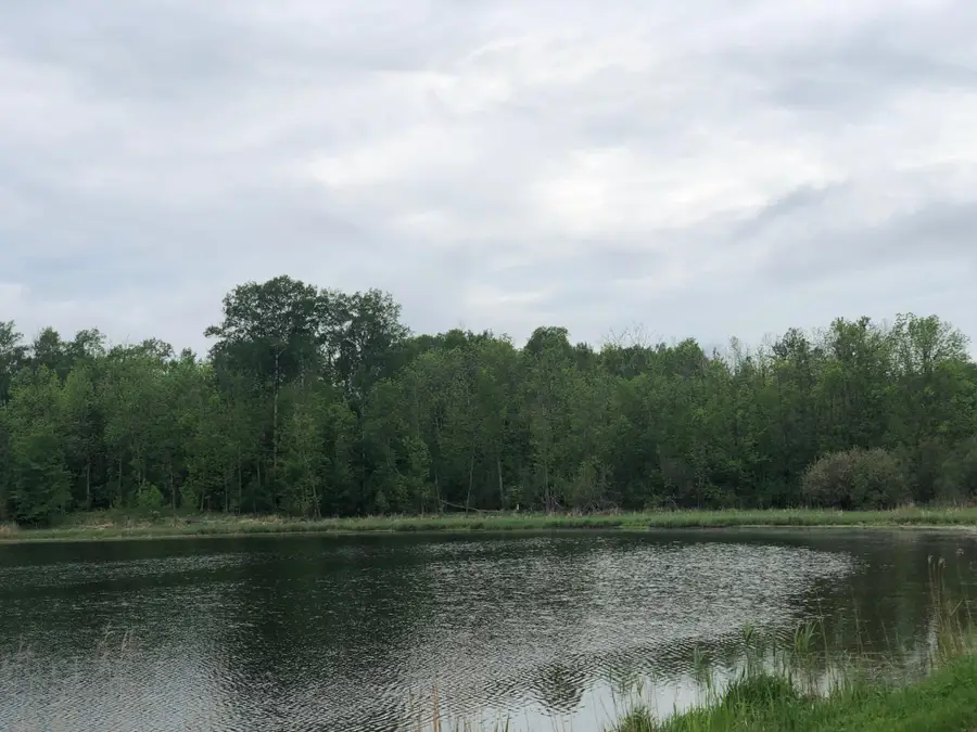 9a Hines Road Ne, Hines, MN 56647 - #2