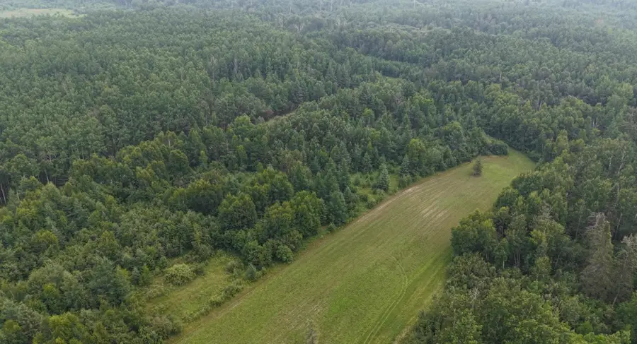 TBD Tangnes Forest Road, Roosevelt, MN 56673 - #3