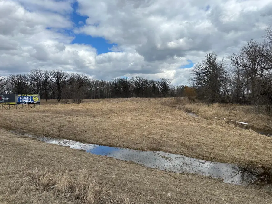 TBD State Hwy 11, Badger, MN 56714 - #2