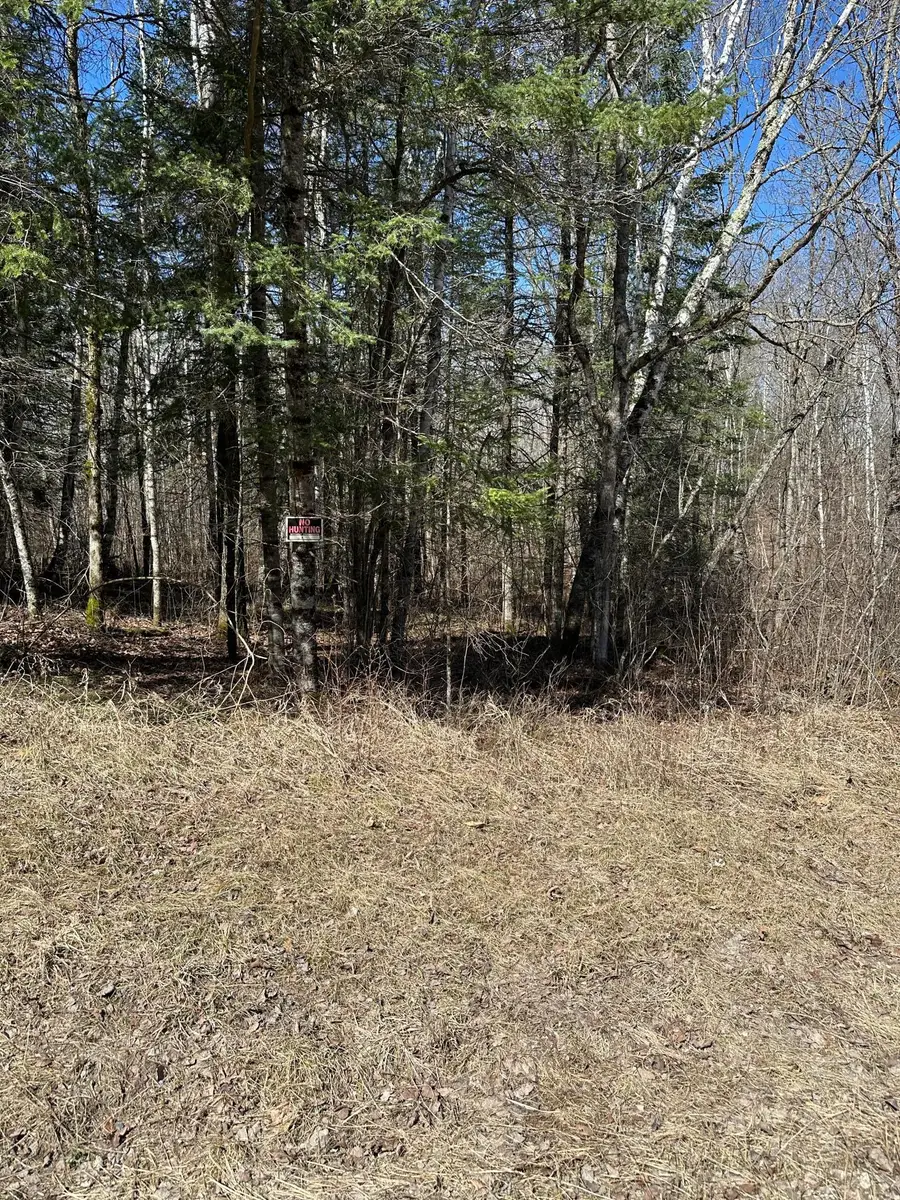 TBD Ct 307, Blackduck, MN 56630 - #3