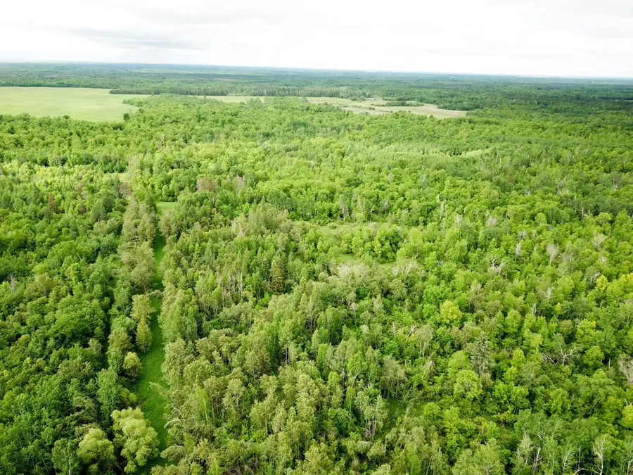 TBD Cormorant Road Ne, Kelliher, MN 56650 - #2