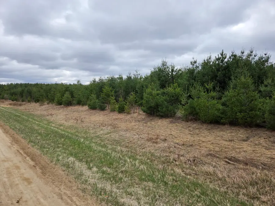TBD 450th St - Parcel A, Laporte, MN 56461 - #3