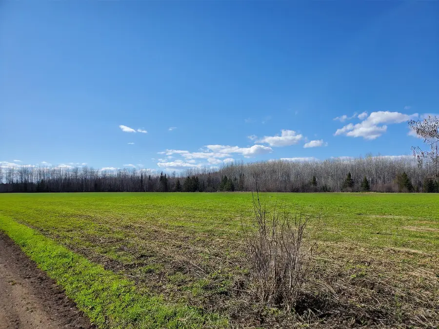 tbd Wildflower Lane Ne, Blackduck, MN 56630 - #2